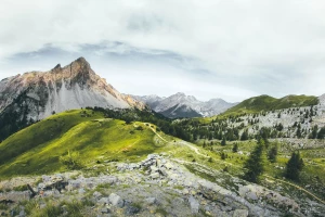 BDO w Czechach: krok po kroku dla polskich firm transgranicznych — rejestracja, obowiązki i kary