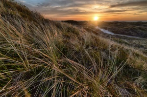 Jak stworzyć skuteczną i taną rutynę pielęgnacyjną na każdą kieszeń: 7 kroków i 15 kosmetyków drogeryjnych, które naprawdę działają (przewodnik 2025)