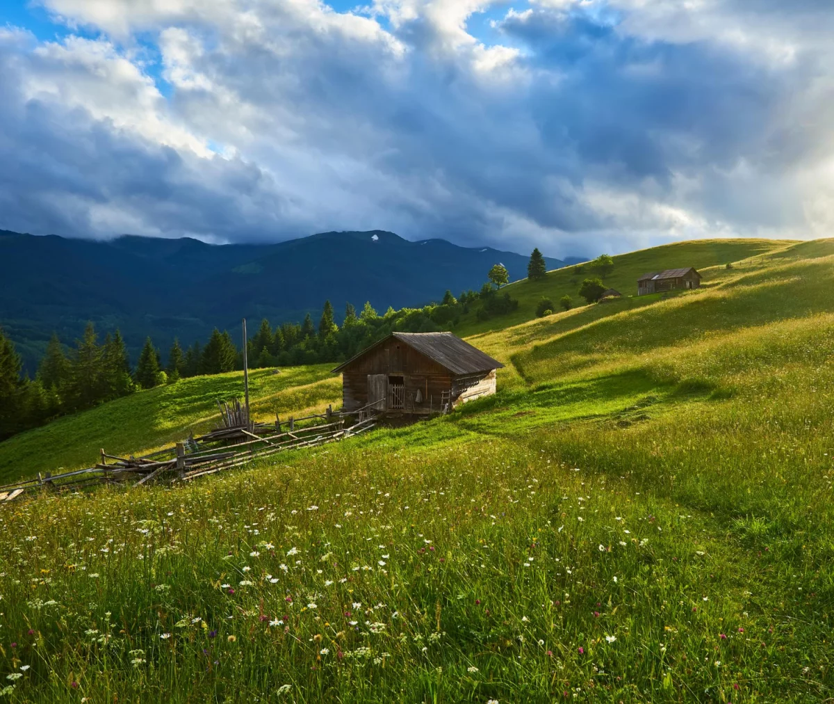Najlepsze domki nad Bałtykiem 2026: ranking lokalizacji, cen wynajmu, udogodnień i porad rezerwacyjnych