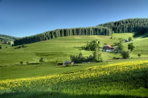 Czy można raportować do ESG w pracy?